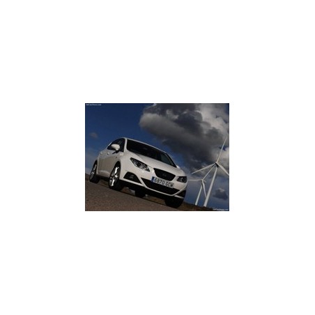 Seat Ibiza 1.6 TDI 105hk 2009-2015