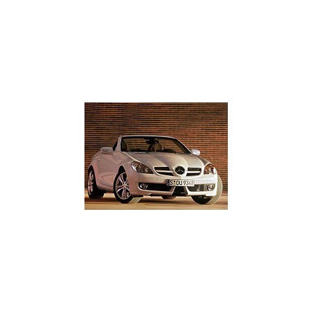 Mercedes-Benz SLK 300 231hk 2009-2011