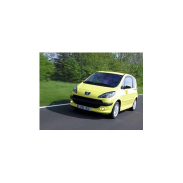 Peugeot 1007 1.4 73hk 2005-2009