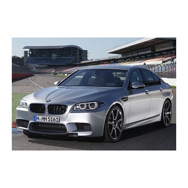 BMW (F1x) 530d 245HK 2010-2011