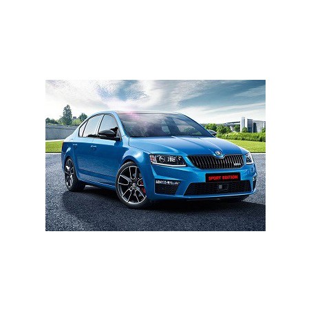 Skoda Octavia 1.8 TSI 180hk 2013-2018