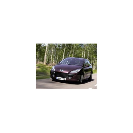 Peugeot 307 2.0 136hk 2001-2005