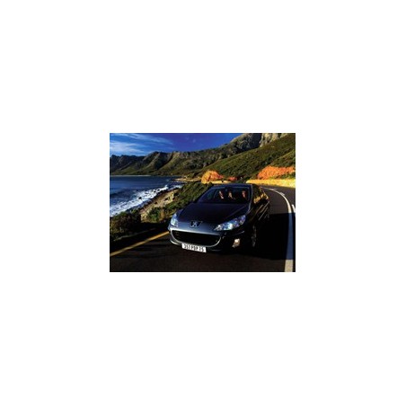 Peugeot 407 1.6 HDi 109hk 2004-2011