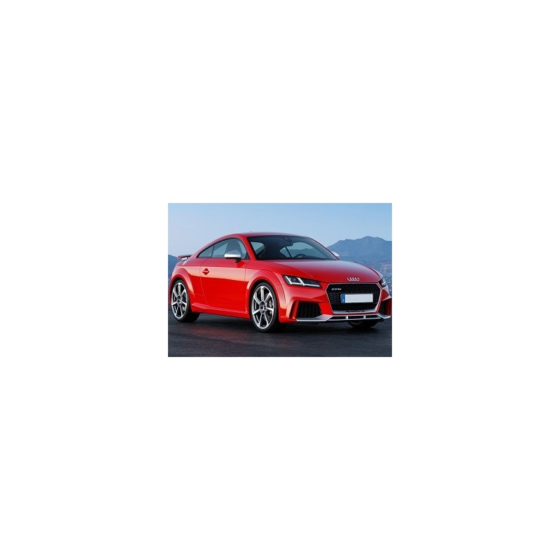Audi TTS (8S)