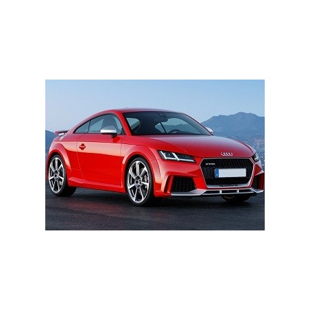 Audi TTS (8S) 2014-2018