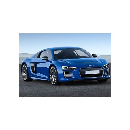 Audi R8 5.2 610hp 2015-2018