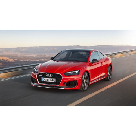 Audi RS5 2.9 TFSI 450hk 2017-