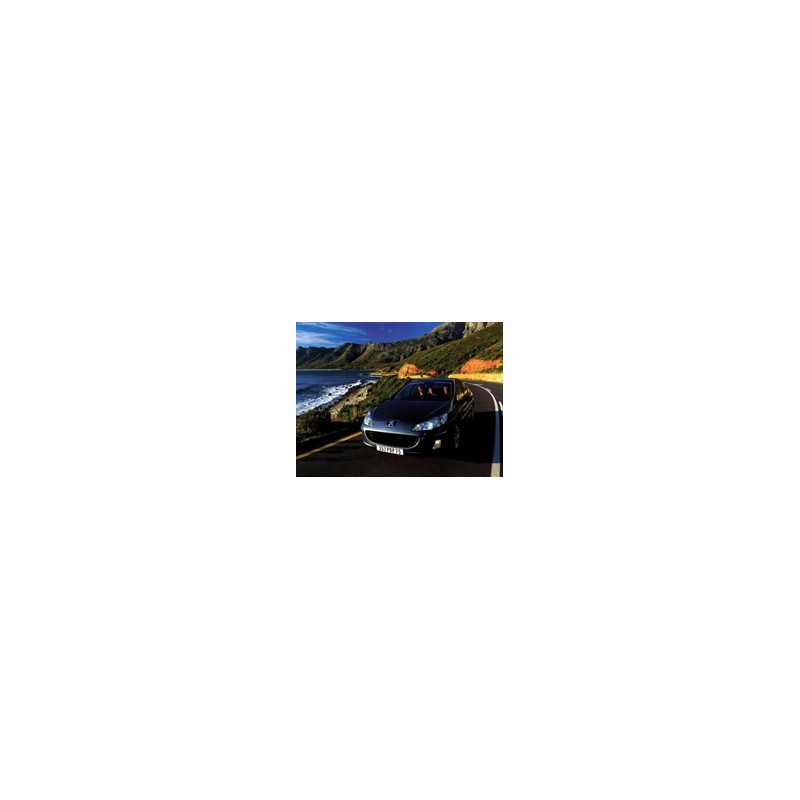 Peugeot 407 3.0 V6 211hk 2004-2009