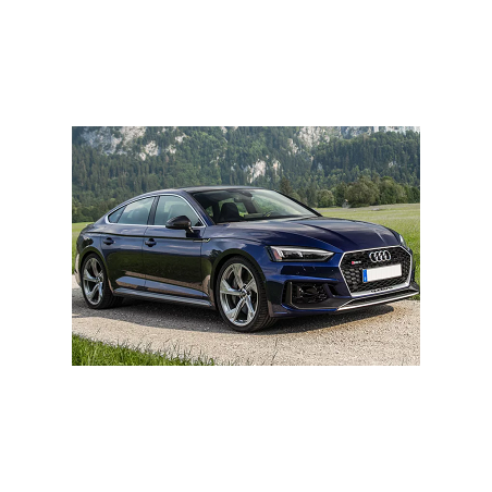 Audi S5 3.0 TFSI 354hk 2017-