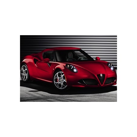 Alfa Romeo 4C 1.75 TBi 240hk 2013-2019