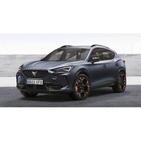 Cupra Formentor VZ 2.0 TSI 4Drive 310hk 2020-