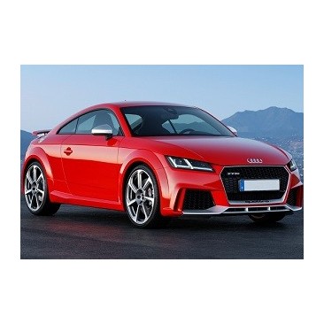 Audi TTS (8S)