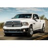 Ram 2009-